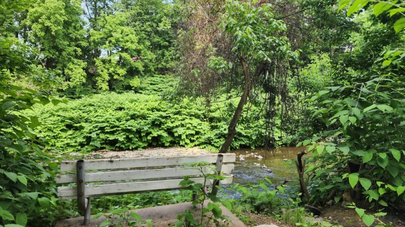 Tacony Creek Park - The Big Field - Philadelphia, PA