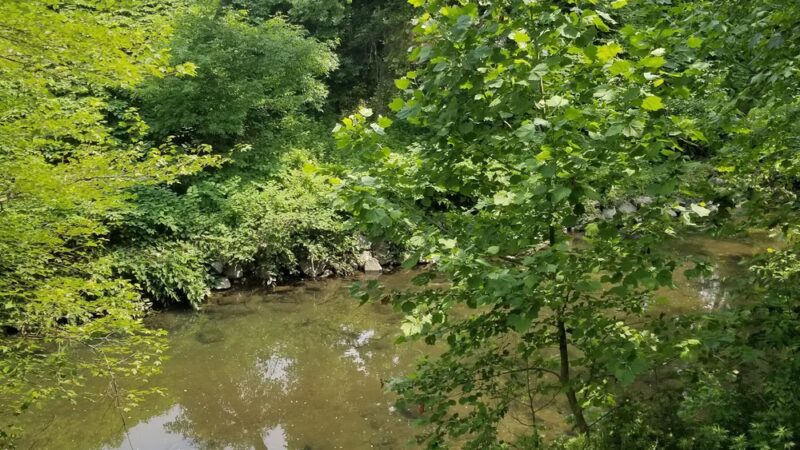Tacony Creek Park - Whitaker Gateway - Philadelphia, PA