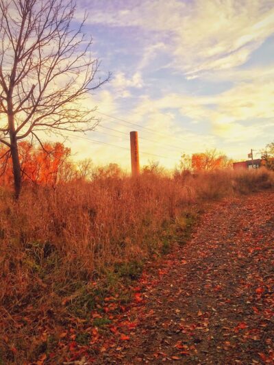 Tacony Creek Park - Whitaker Gateway - Philadelphia, PA