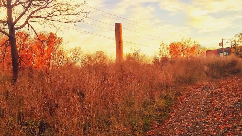 Tacony Creek Park - Whitaker Gateway - Philadelphia, PA