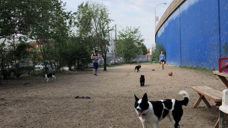 Triangle Dog Park - Philadelphia, PA