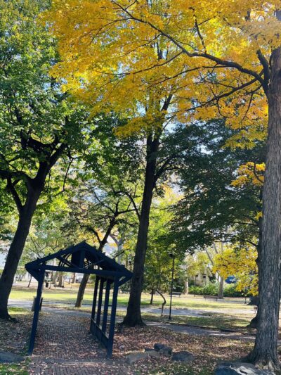 Vernon Park - Philadelphia, PA