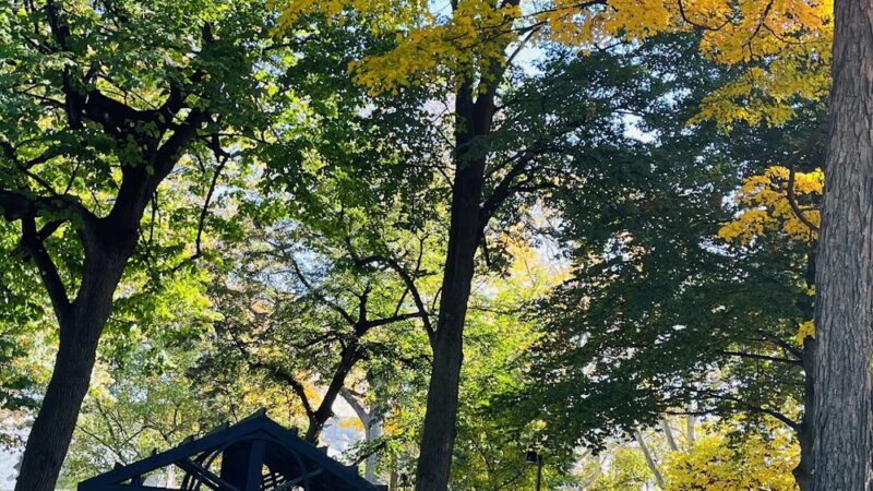 Vernon Park - Philadelphia, PA