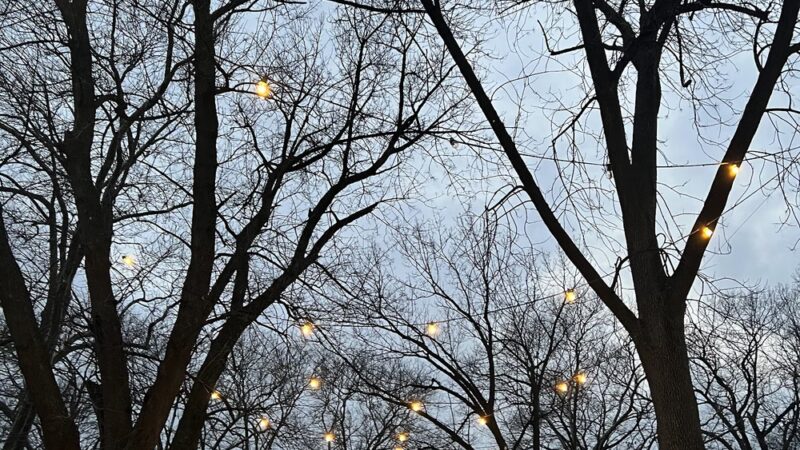 Vernon Park - Philadelphia, PA