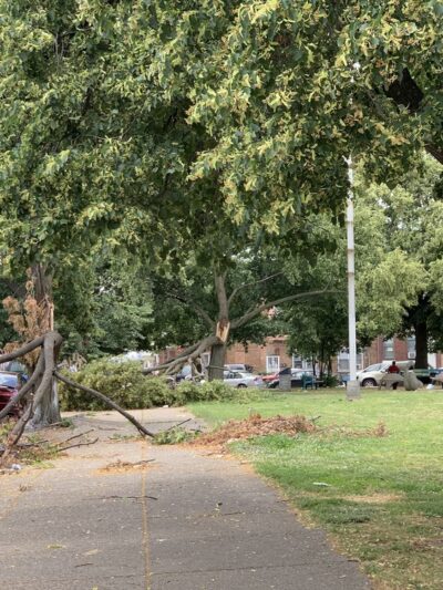 Weinberg Park - Philadelphia, PA
