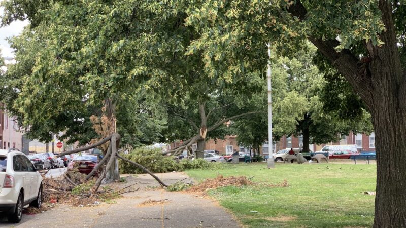 Weinberg Park - Philadelphia, PA