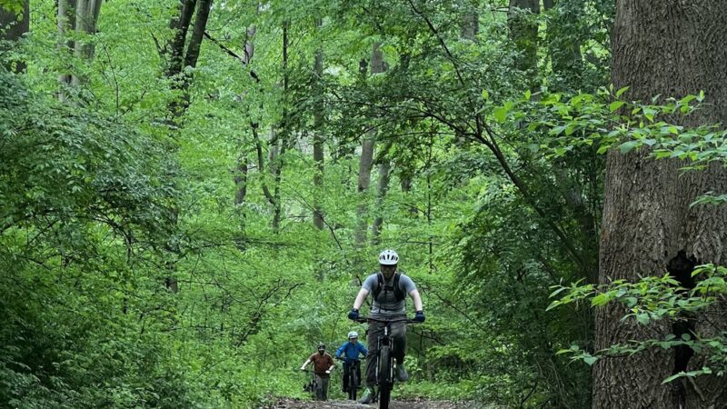 White Trail Entrance - Philadelphia, PA