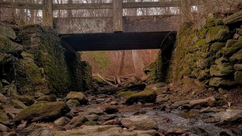 White Trail Entrance - Philadelphia, PA