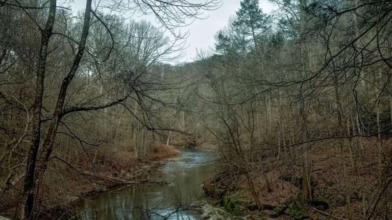 White Trail Entrance - Philadelphia, PA