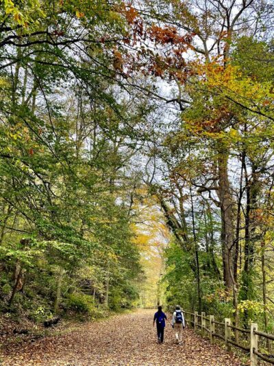 Wissahickon Valley Park - Philadelphia, PA