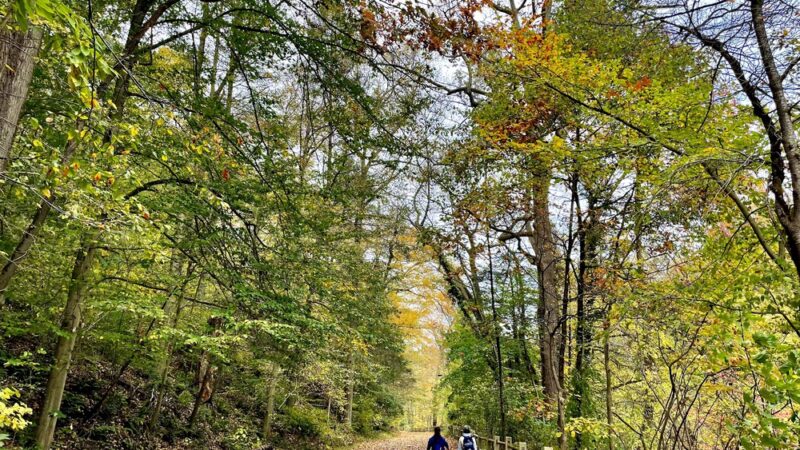Wissahickon Valley Park - Philadelphia, PA