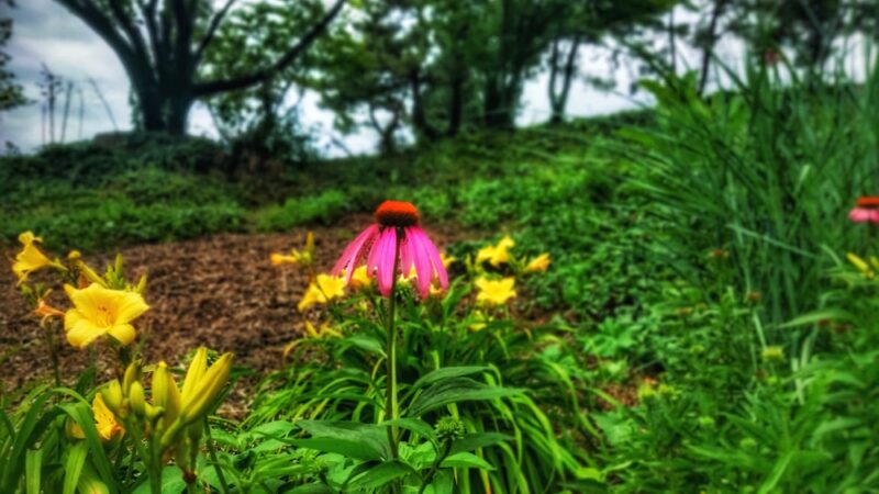 Wood Street Park - Philadelphia, PA
