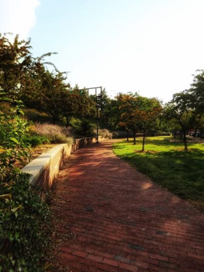 Wood Street Park - Philadelphia, PA