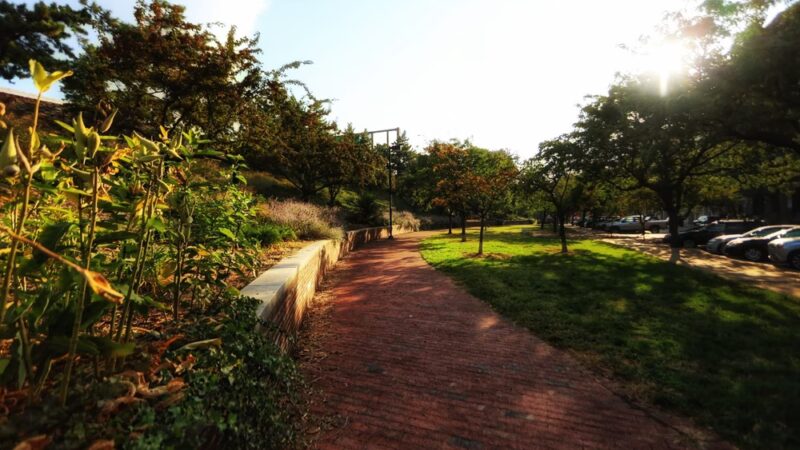 Wood Street Park - Philadelphia, PA