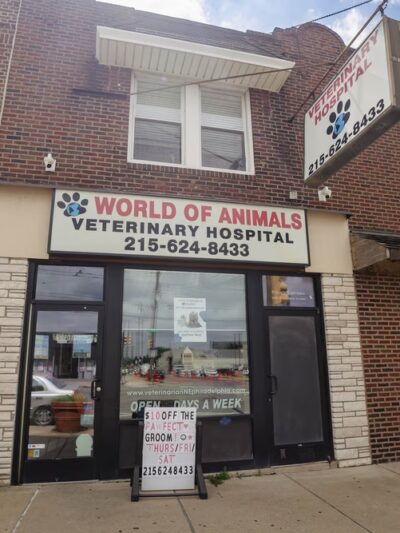 World of Animals Veterinary Hospital at Mayfair - Philadelphia, PA