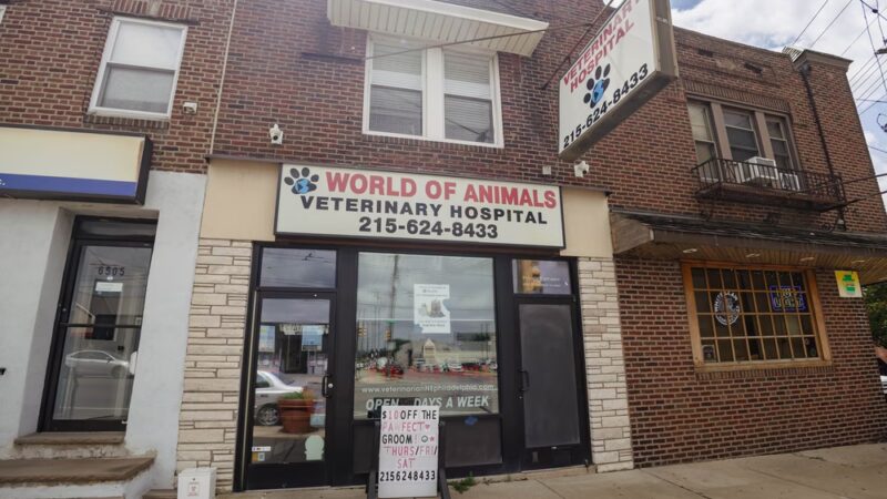 World of Animals Veterinary Hospital at Mayfair - Philadelphia, PA