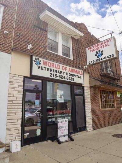 World of Animals Veterinary Hospital at Mayfair - Philadelphia, PA