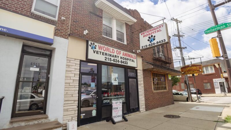 World of Animals Veterinary Hospital at Mayfair - Philadelphia, PA