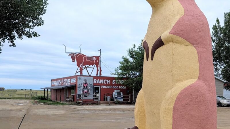 Badlands Ranch Store - Philip, SD