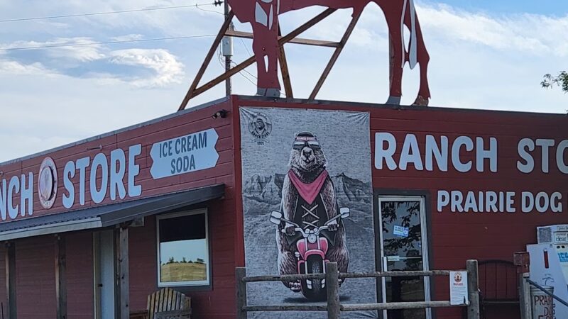 Giant Prairie Dog Statue - Philip, SD
