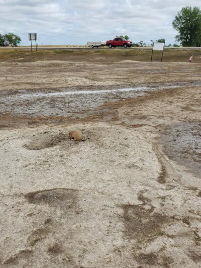 Prairie Dog Observation Point - Philip, SD