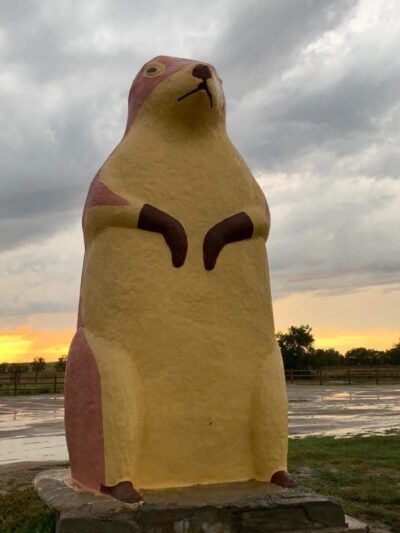 Prairie Dogs Field - Philip, SD
