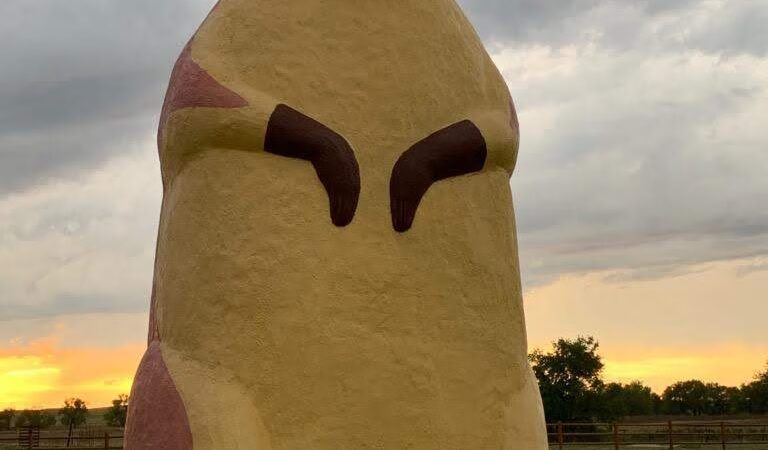 Prairie Dogs Field - Philip, SD