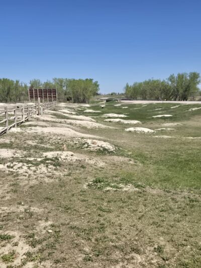 Prairie Dogs Field - Philip, SD