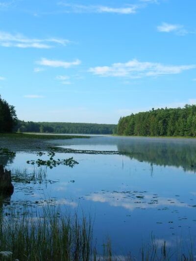 Black Moshannon State Park - Philipsburg, PA