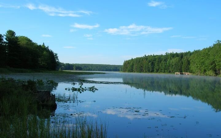 Black Moshannon State Park - Philipsburg, PA