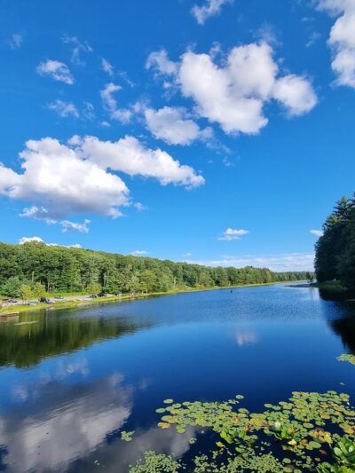 Black Moshannon State Park - Philipsburg, PA