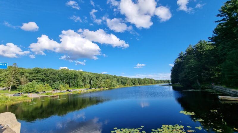Black Moshannon State Park - Philipsburg, PA