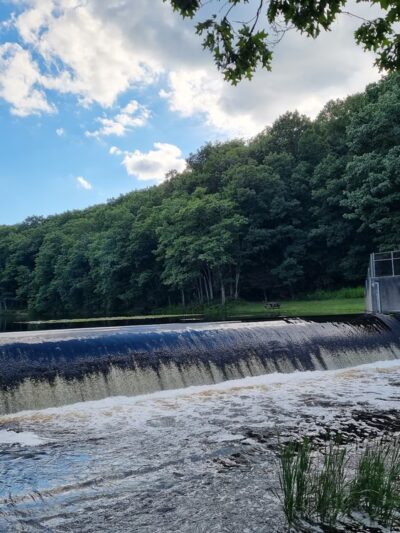 Black Moshannon State Park - Philipsburg, PA