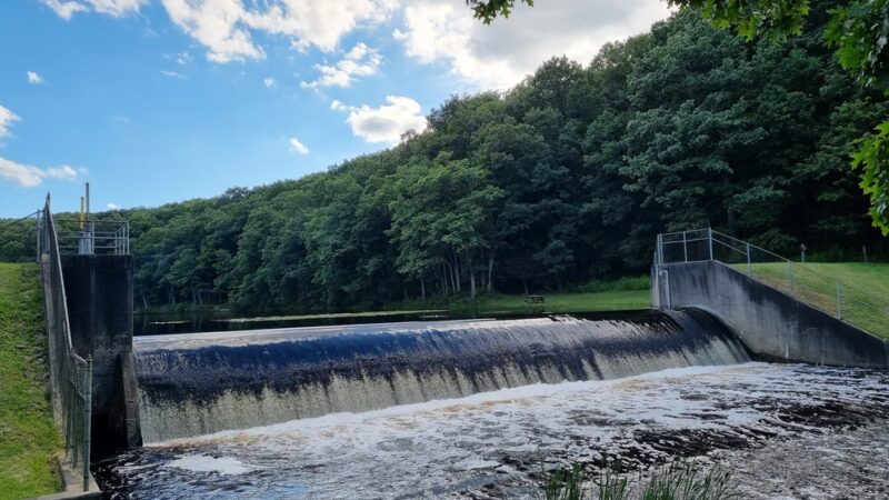 Black Moshannon State Park - Philipsburg, PA