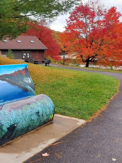 Black Moshannon State Park Day Use District - Philipsburg, PA