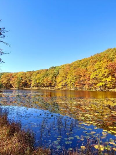 Black Moshannon State Park Day Use District - Philipsburg, PA