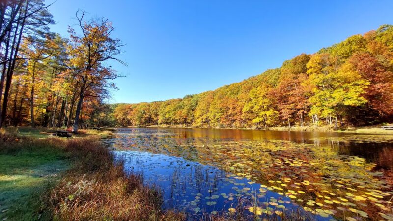 Black Moshannon State Park Day Use District - Philipsburg, PA