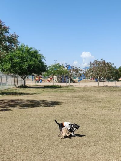 Deer Valley Park - Phoenix, AZ
