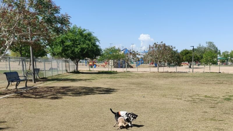 Deer Valley Park - Phoenix, AZ