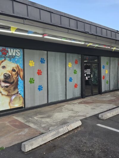 Paws 48 Dog Wash & Gym - Phoenix, AZ
