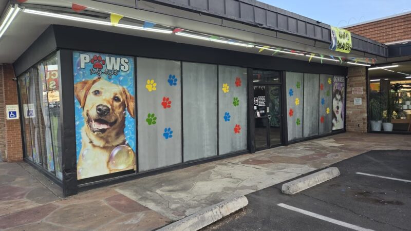 Paws 48 Dog Wash & Gym - Phoenix, AZ