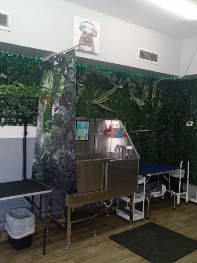 Paws 48 Dog Wash & Gym - Phoenix, AZ