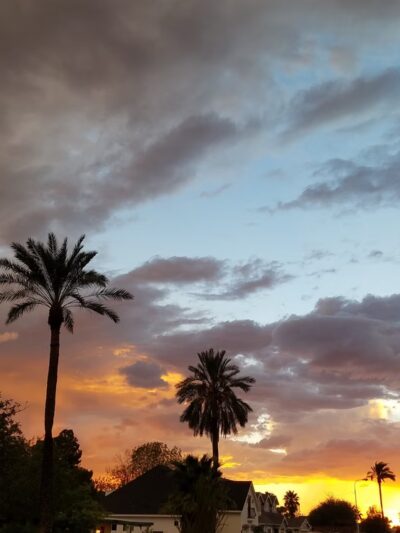 Quail Run Basin Park - Phoenix, AZ