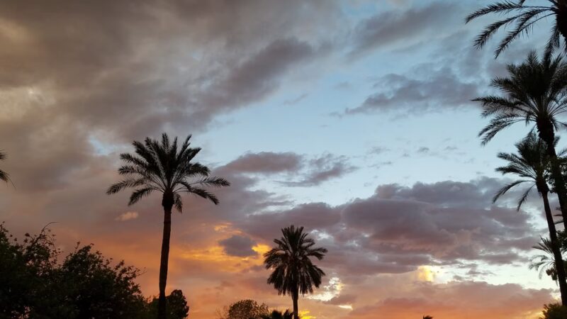 Quail Run Basin Park - Phoenix, AZ