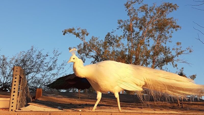 Santa Maria Park - Phoenix, AZ
