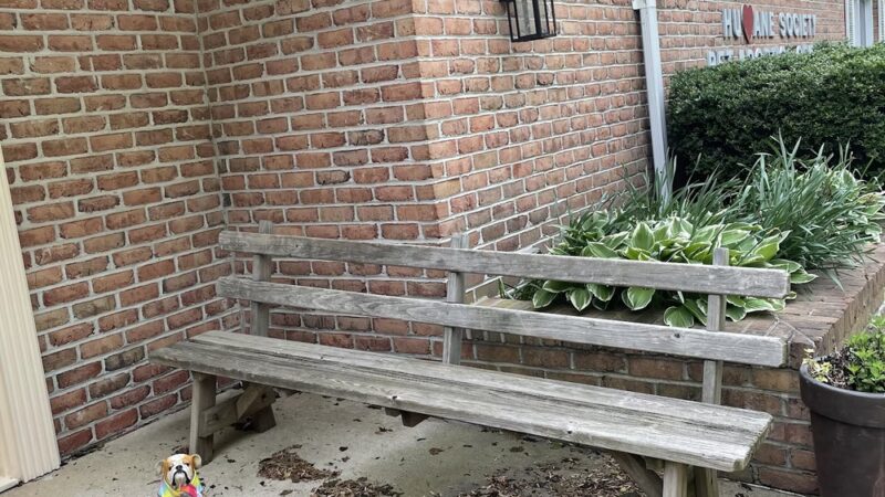 Defenders of Animal Rights Inc - Phoenix, MD