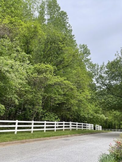 Defenders of Animal Rights Inc - Phoenix, MD