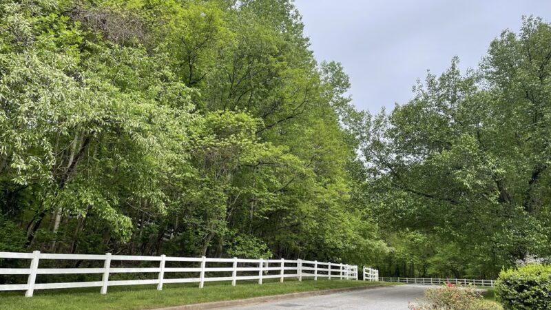 Defenders of Animal Rights Inc - Phoenix, MD