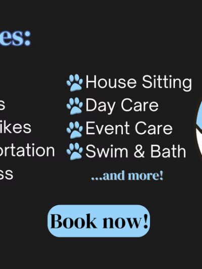 Grateful Dog - Phoenix, MD