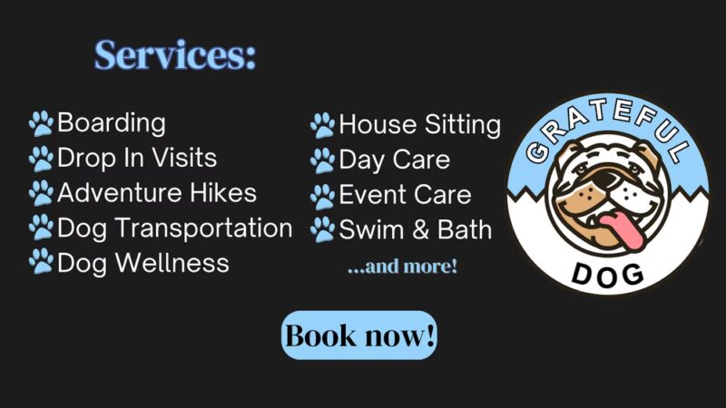 Grateful Dog - Phoenix, MD